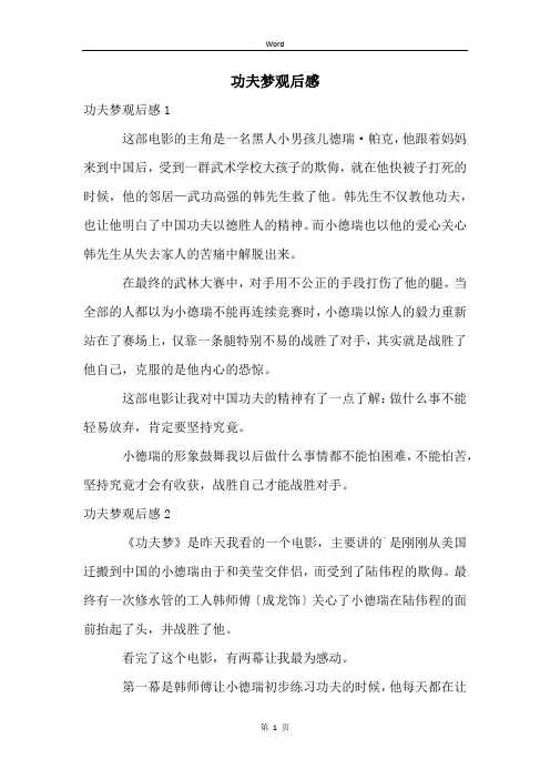 功夫梦观后感