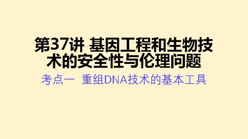 【生物课件】2024届高三生物一轮复习课件 基因工程和生物技术的安全性与伦理问题