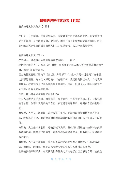 最美的遇见作文范文【5篇】学资网