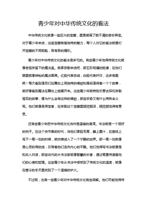 青少年对中华传统文化的看法