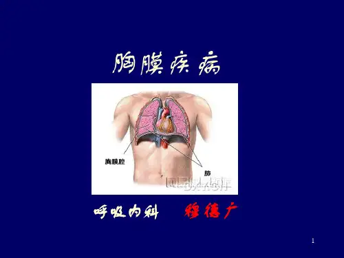 胸膜疾病PPT课件