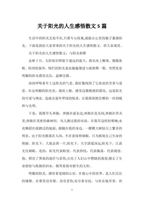 关于阳光的人生感悟散文5篇