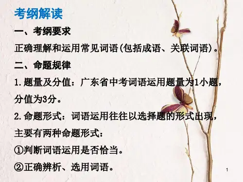 (广东专版)中考语文总复习 中考解读 基础与运用 第三章 词语运用课件.pptx