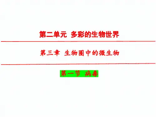 第一节病毒课件济南版生物七年级上册