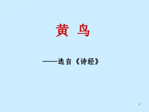 《黄鸟》教案课件
