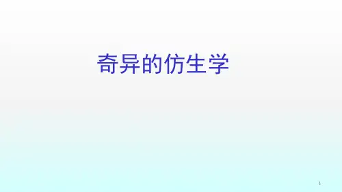 仿生学的发展ppt课件
