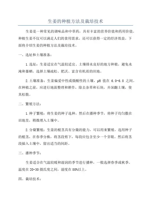 生姜的种植方法及栽培技术