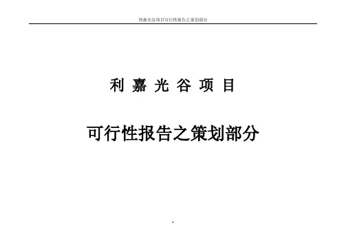 武汉光谷项目可行性报告——策划部分