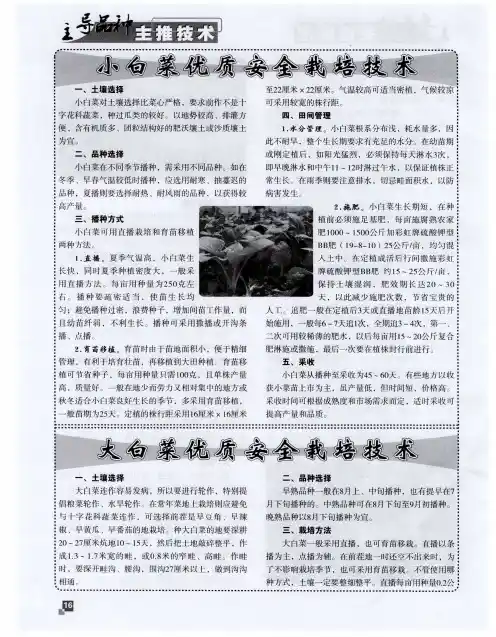 小白菜优质安全栽培技术