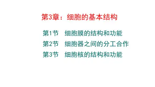 3.1细胞膜的结构和功能  课件高一上学期生物人教版必修一