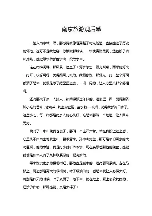 南京旅游观后感