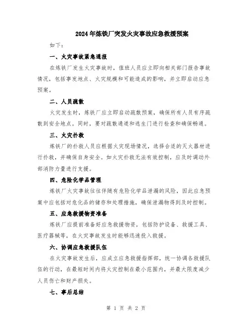 2024年炼铁厂突发火灾事故应急救援预案