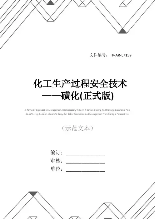 化工生产过程安全技术——磺化(正式版)