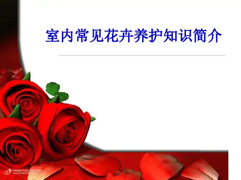花卉养护知识最新ppt课件