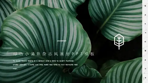 绿色植物手绘叶子夏文艺唯美课件答辩汇报 简约动态小清新PPT模板 (69)