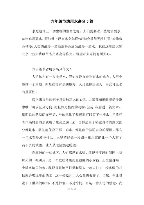 六年级节约用水高分5篇