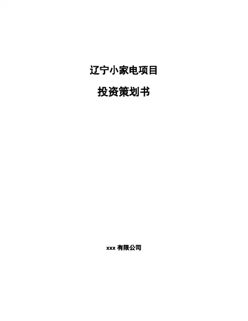 辽宁小家电项目投资策划书