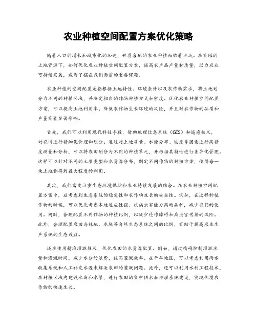 农业种植空间配置方案优化策略