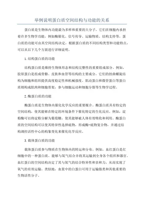 举例说明蛋白质空间结构与功能的关系