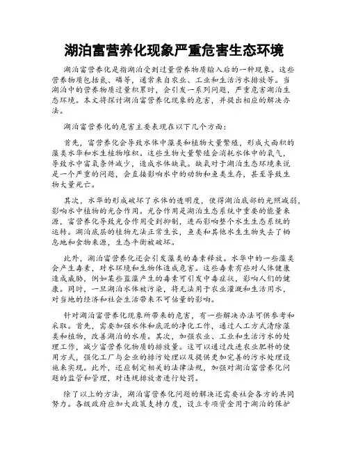 湖泊富营养化现象严重危害生态环境