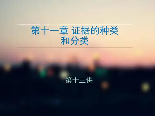 13证据种类