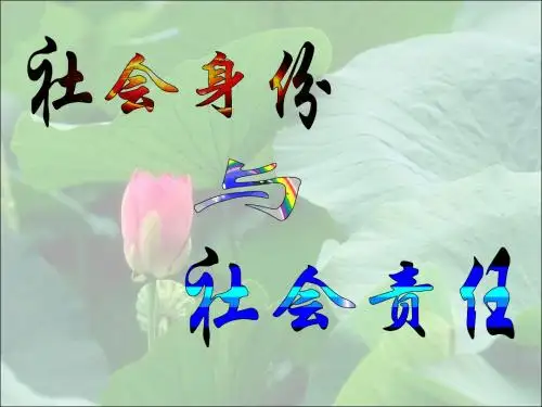 八年级政治社会身份与社会责任