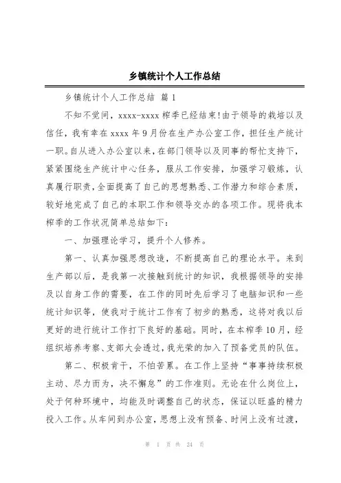 乡镇统计个人工作总结