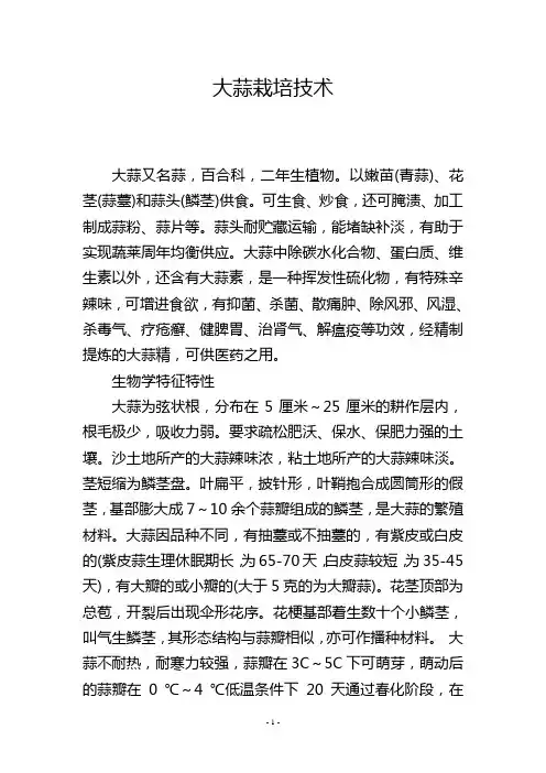 大蒜栽培技术