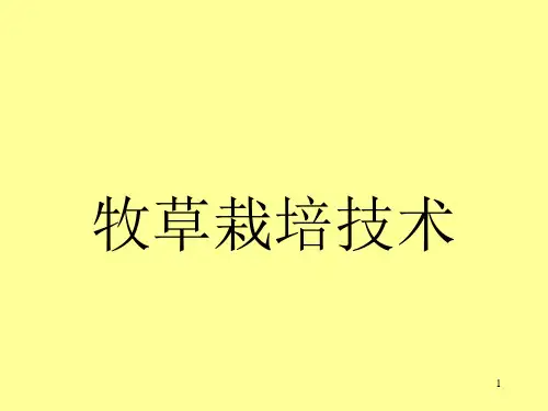 牧草栽培培训稿PPT精选文档