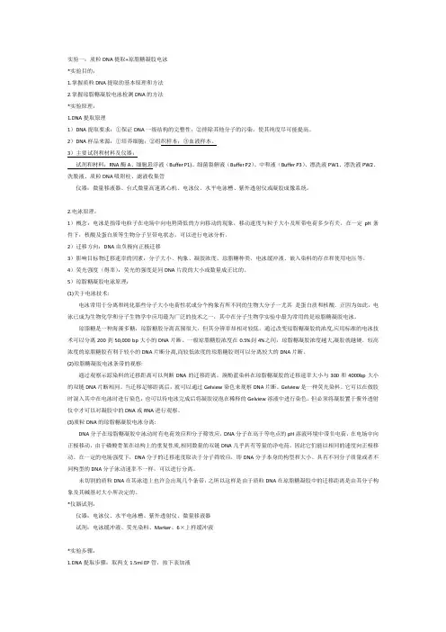 质粒DNA提取+电泳+质粒酶切实验报告