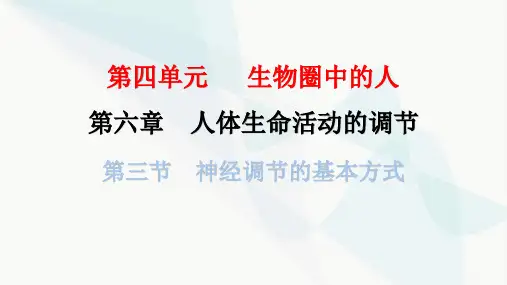 人教版七年级生物下册第六章第三节神经调节的基本方式课件