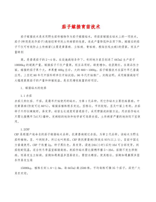 茄子嫁接育苗技术