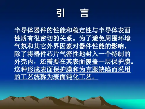 第十三章钝化