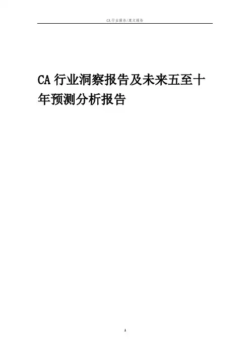 2023年CA行业洞察报告及未来五至十年预测分析报告