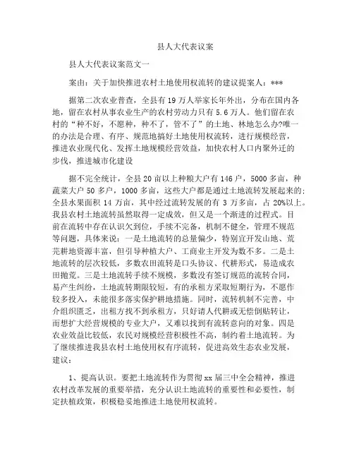 县人大代表议案