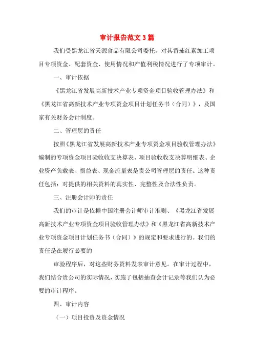 2020年审计报告范文3篇