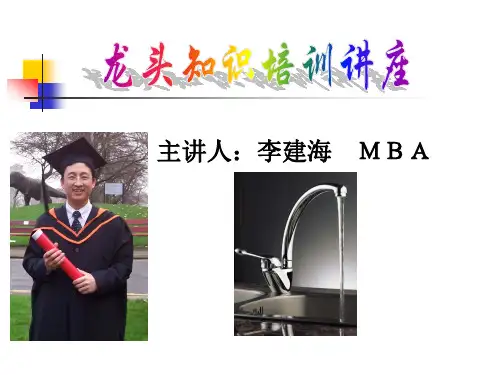 龙头产品知识手册