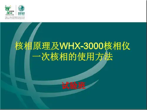 核相原理及核相仪使用方法PPT课件