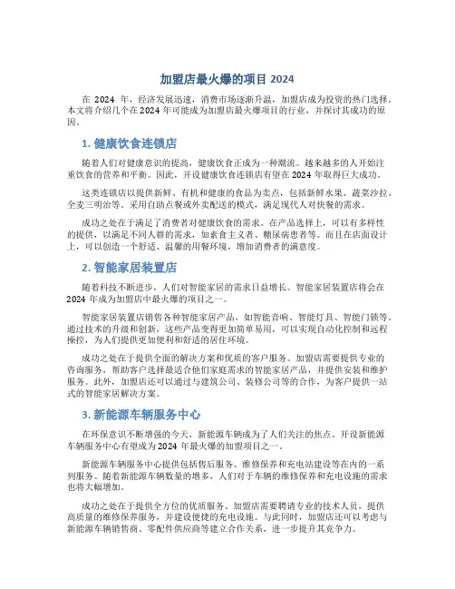 加盟店最火爆的项目2024