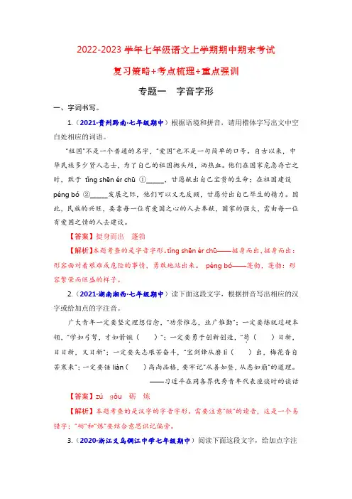 专题一：字音字形(重点强训)(解析版)