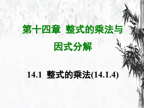 八年级数学上册   整式的乘法   人教版 (2)