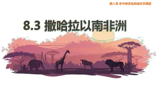 地理《撒哈拉以南的非洲》PPT精品课件