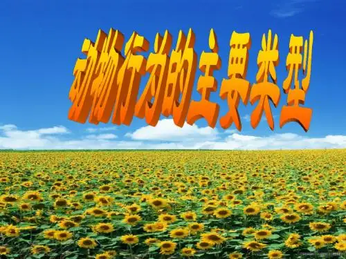 动物行为的类型