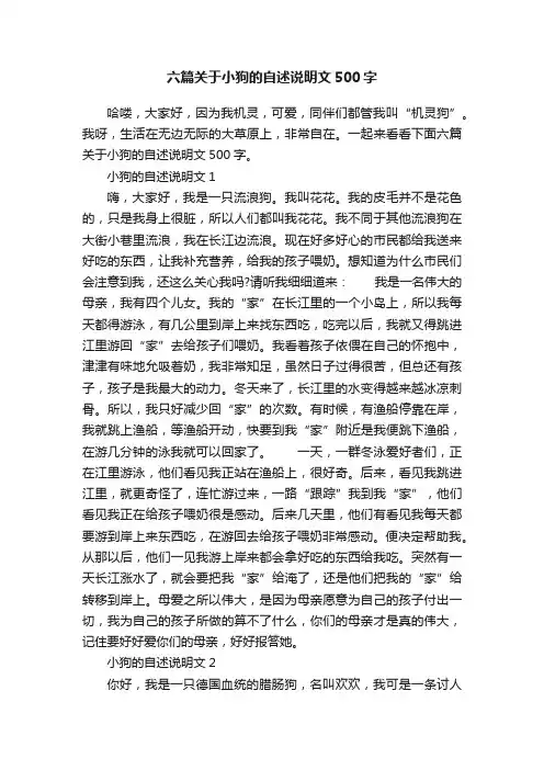 六篇关于小狗的自述说明文500字