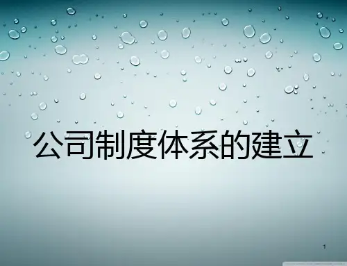 公司制度体系的建立ppt课件