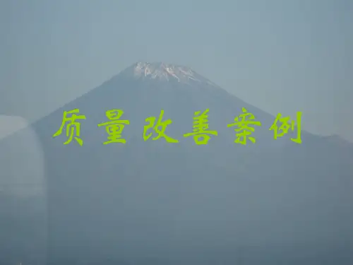 质量改善的范例