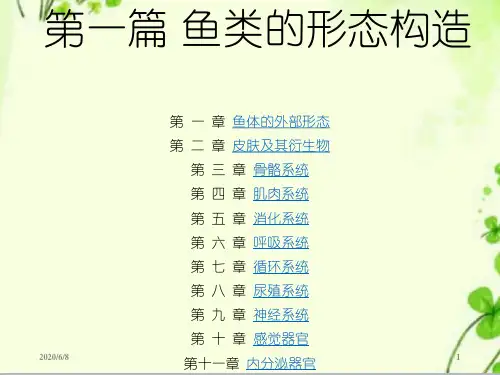 【精编】中小学精品课件鱼类学-鱼类的形态构造课件.ppt