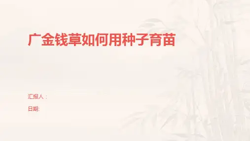 广金钱草如何用种子育苗