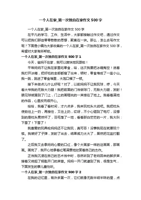一个人在家_第一次独自在家作文500字