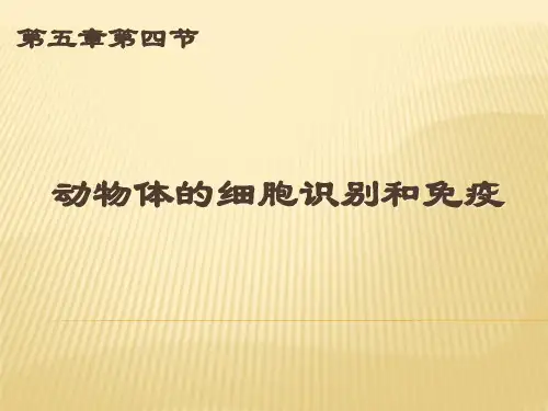 动物体的细胞识别和免疫(正式上课版)